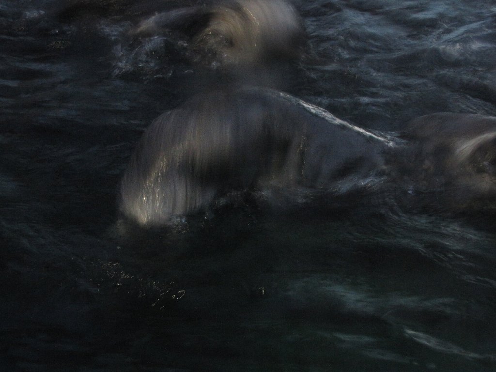 IMG 3150