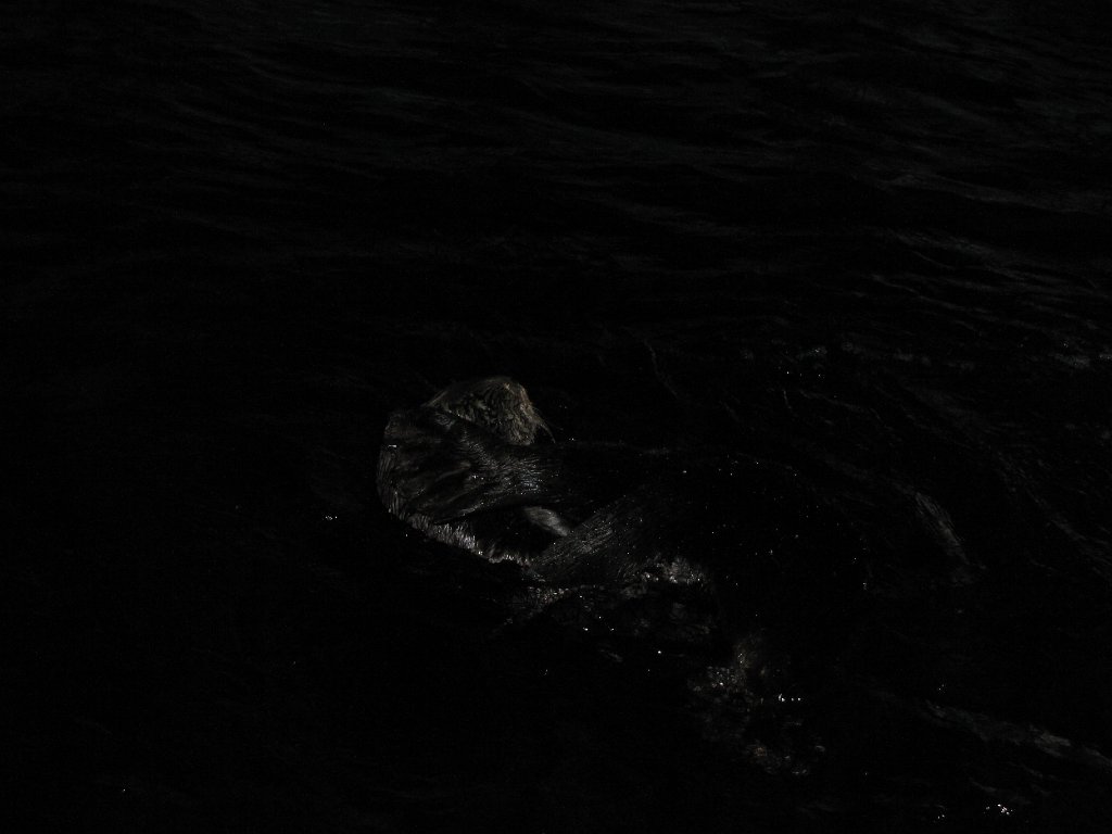 IMG 3152
