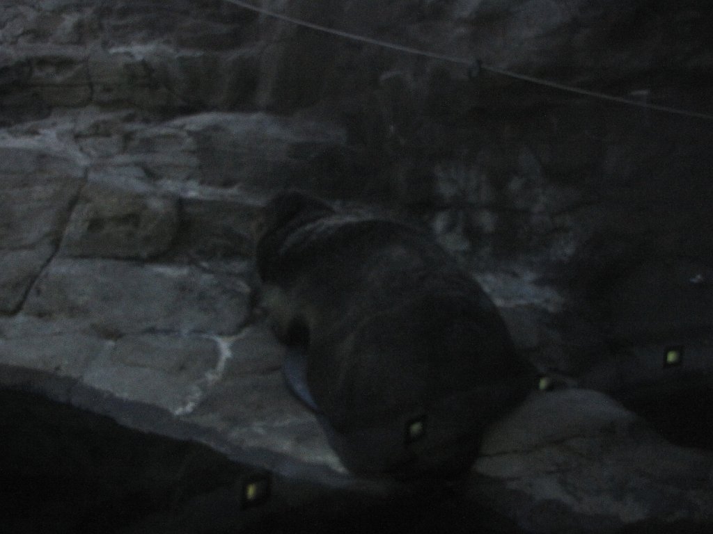 IMG 3155
