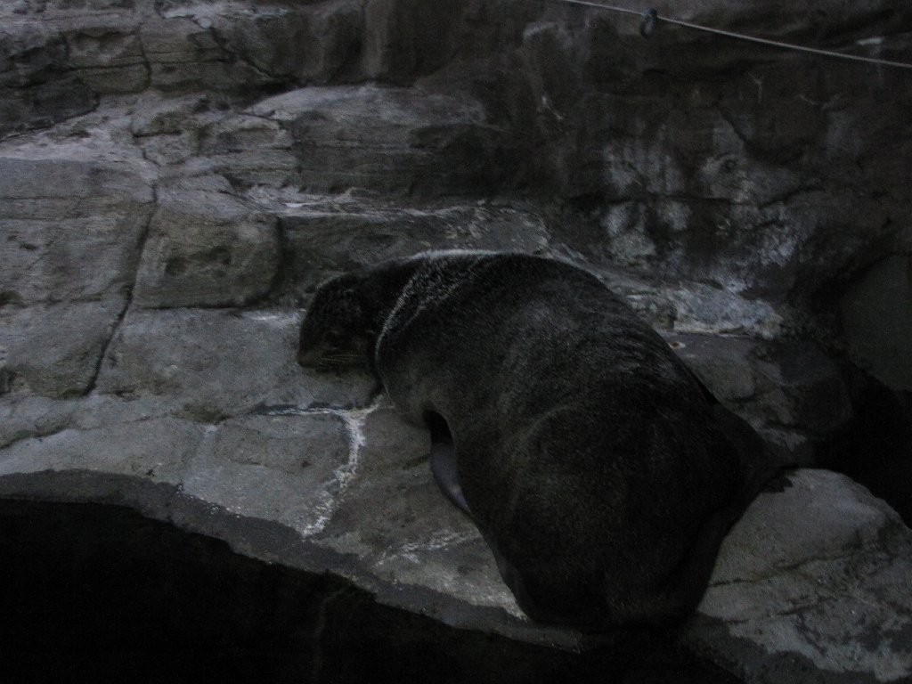 IMG 3157