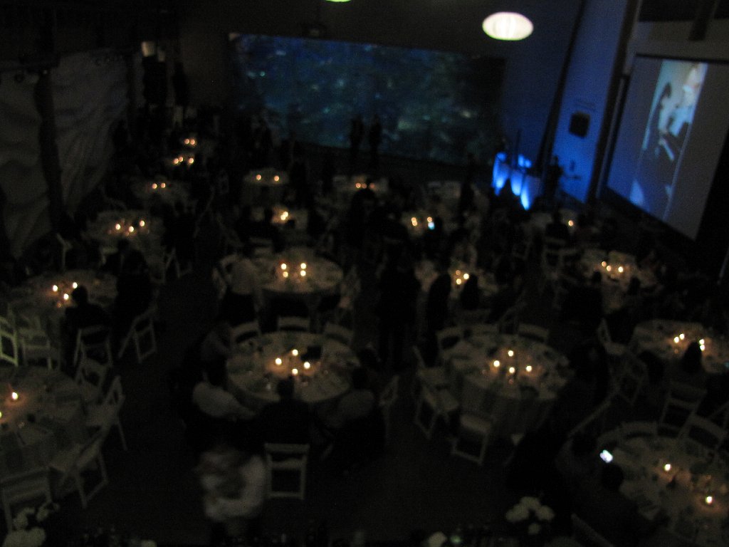 IMG 3166