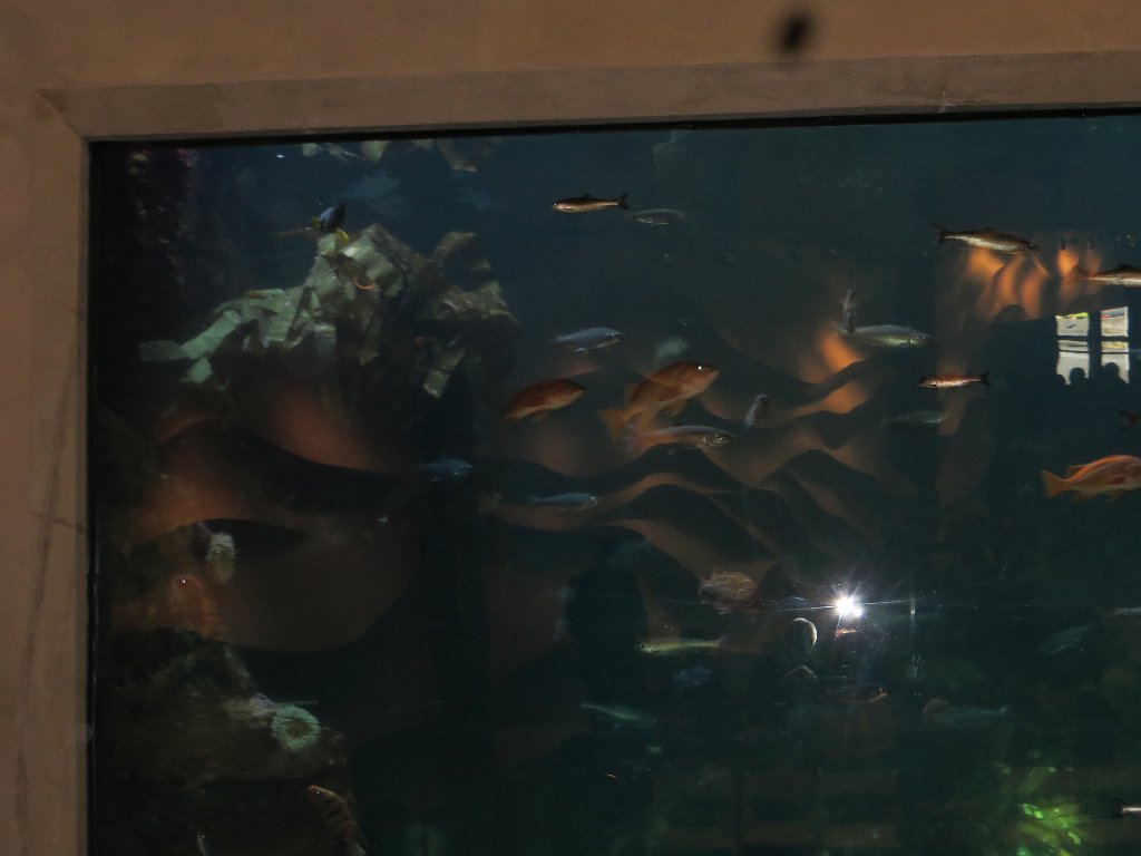 IMG 7746