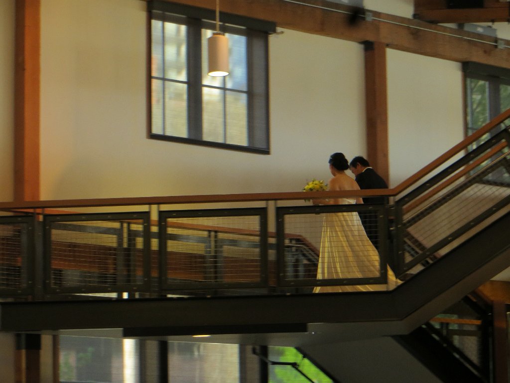 IMG 7752