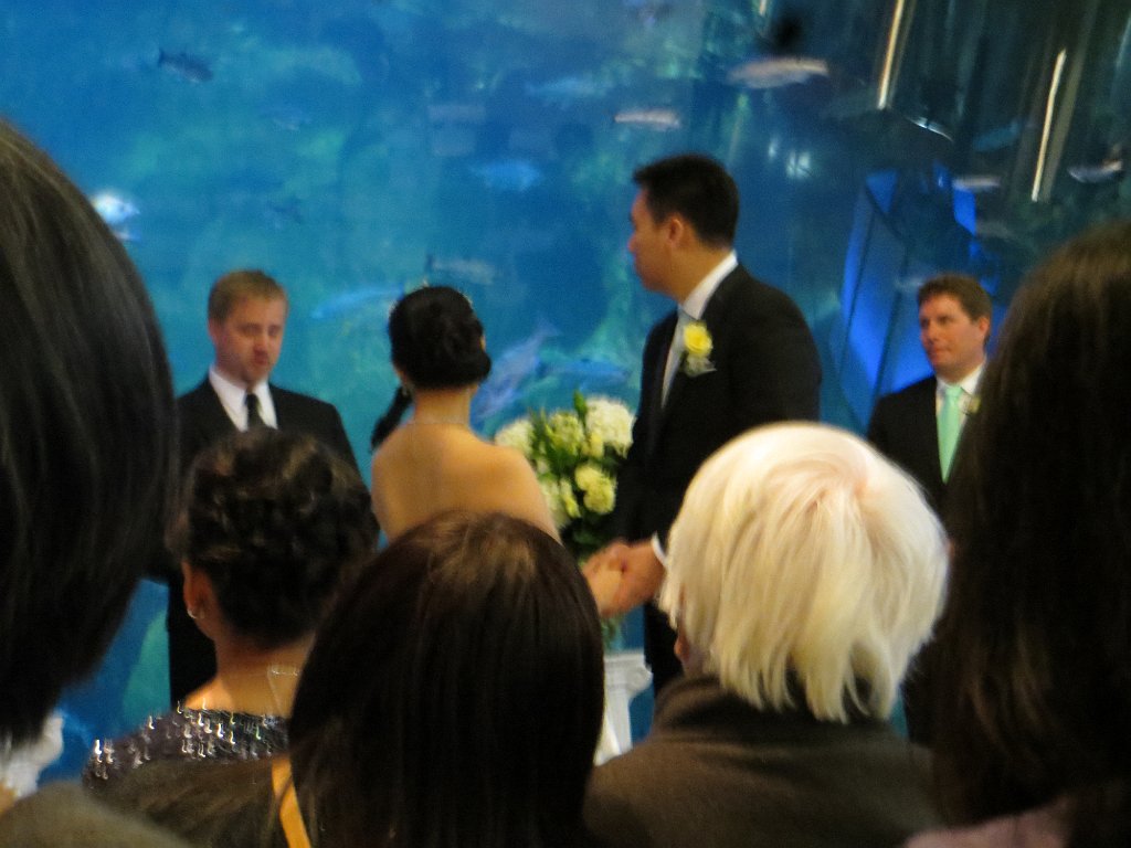 IMG 7756