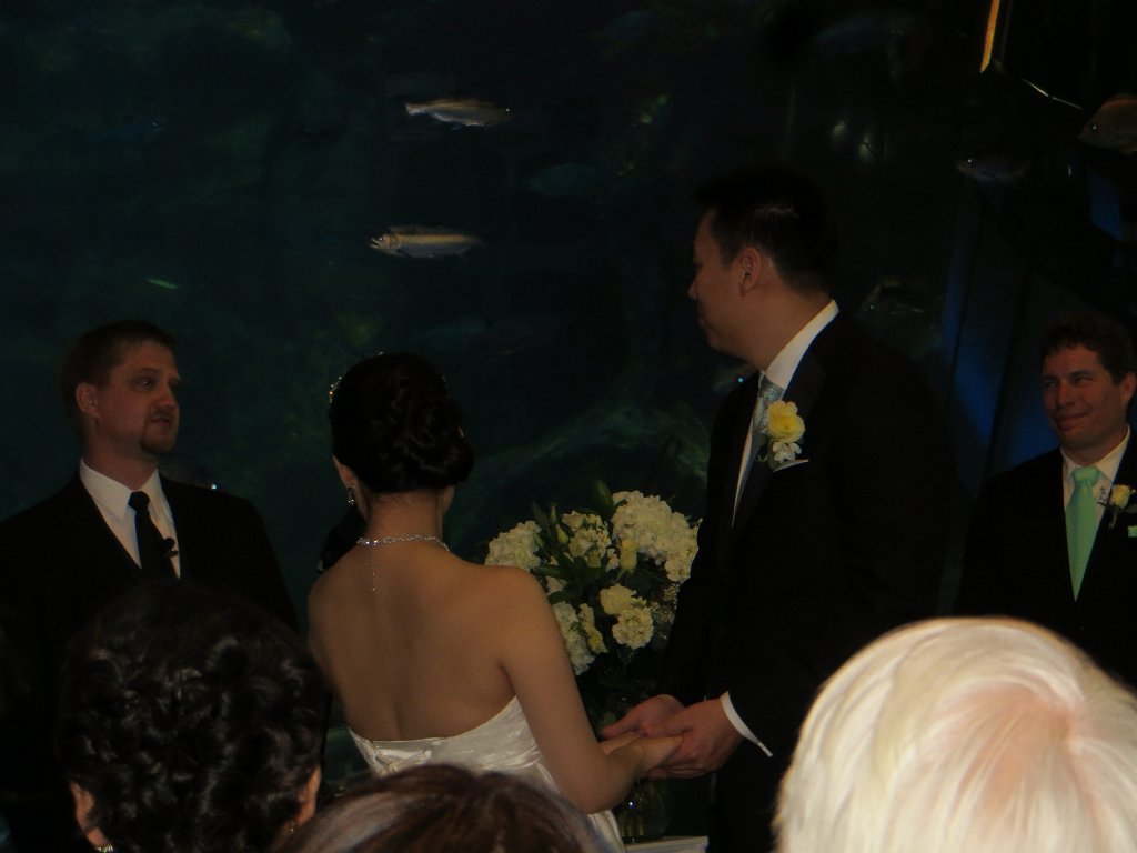 IMG 7758