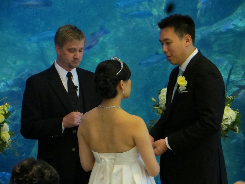 IMG 7763