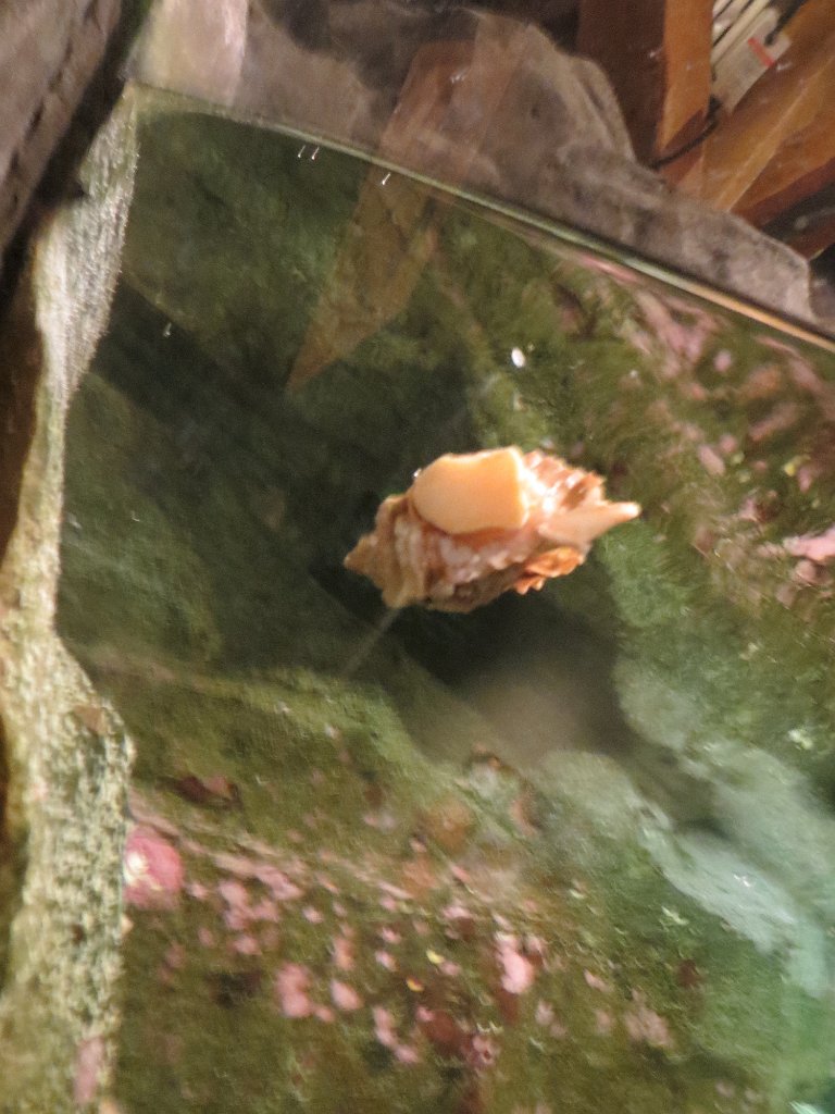 IMG 7771