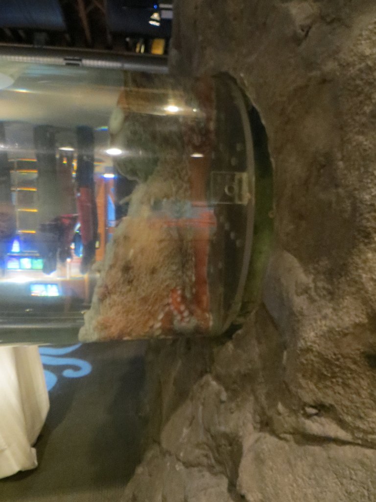 IMG 7773