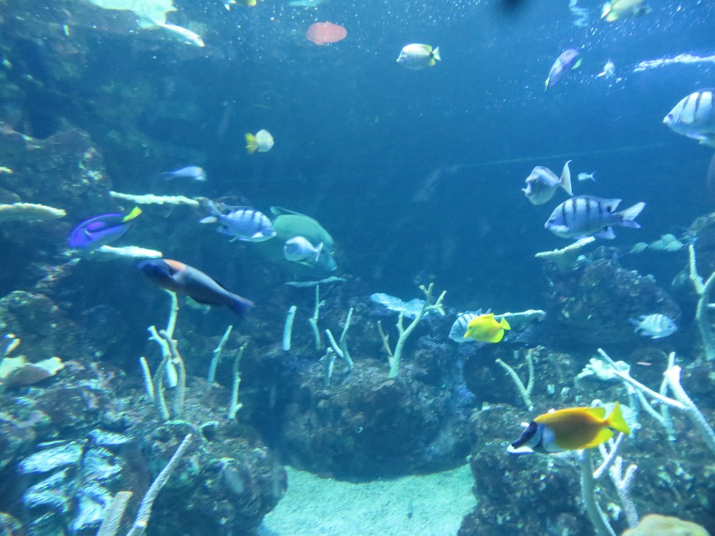 IMG 7777
