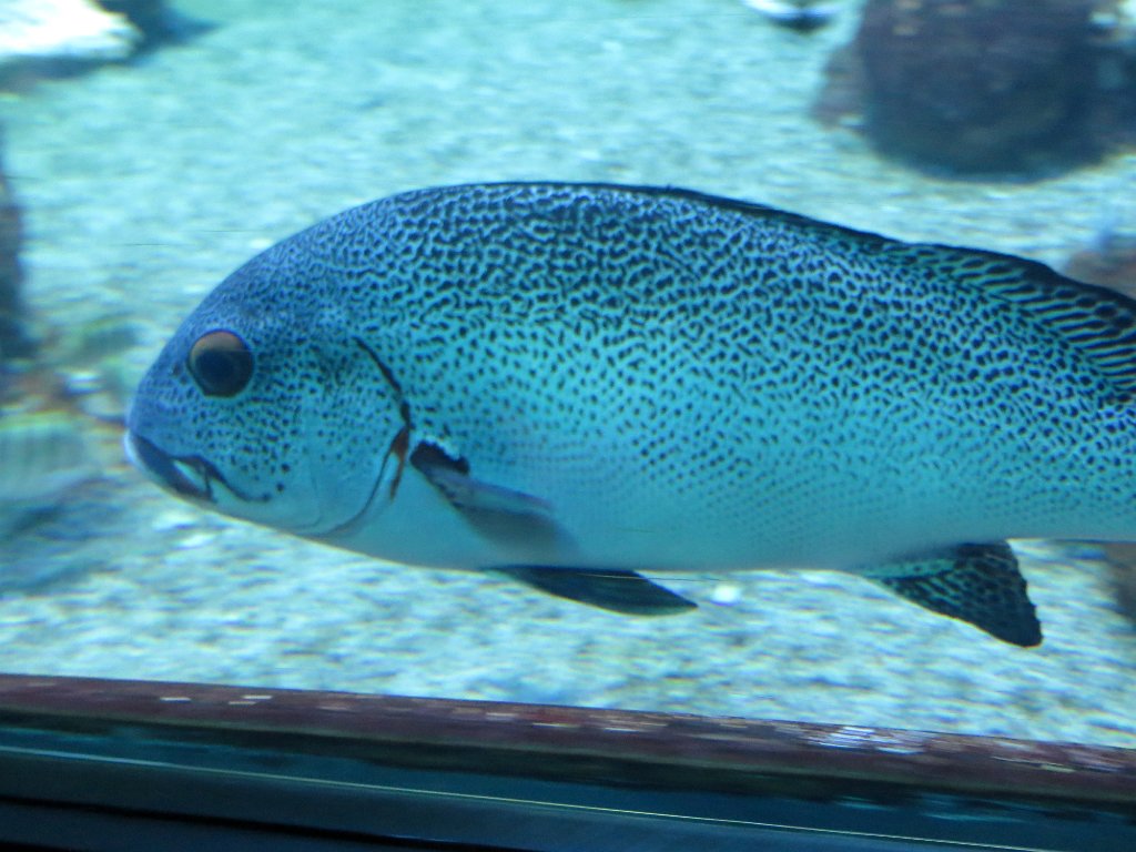 IMG 7778