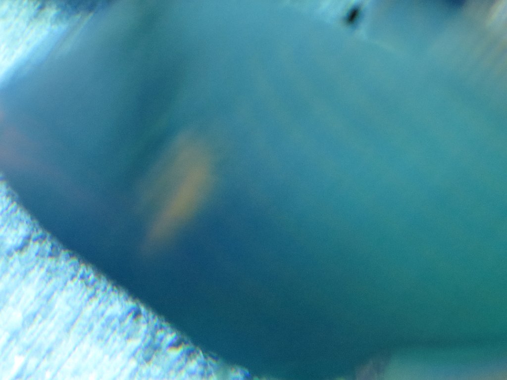 IMG 7780