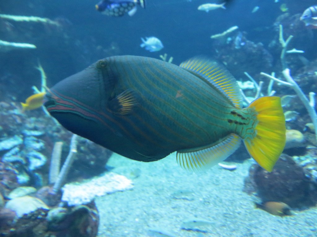 IMG 7781