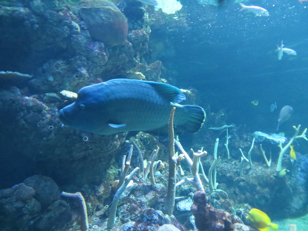 IMG 7784