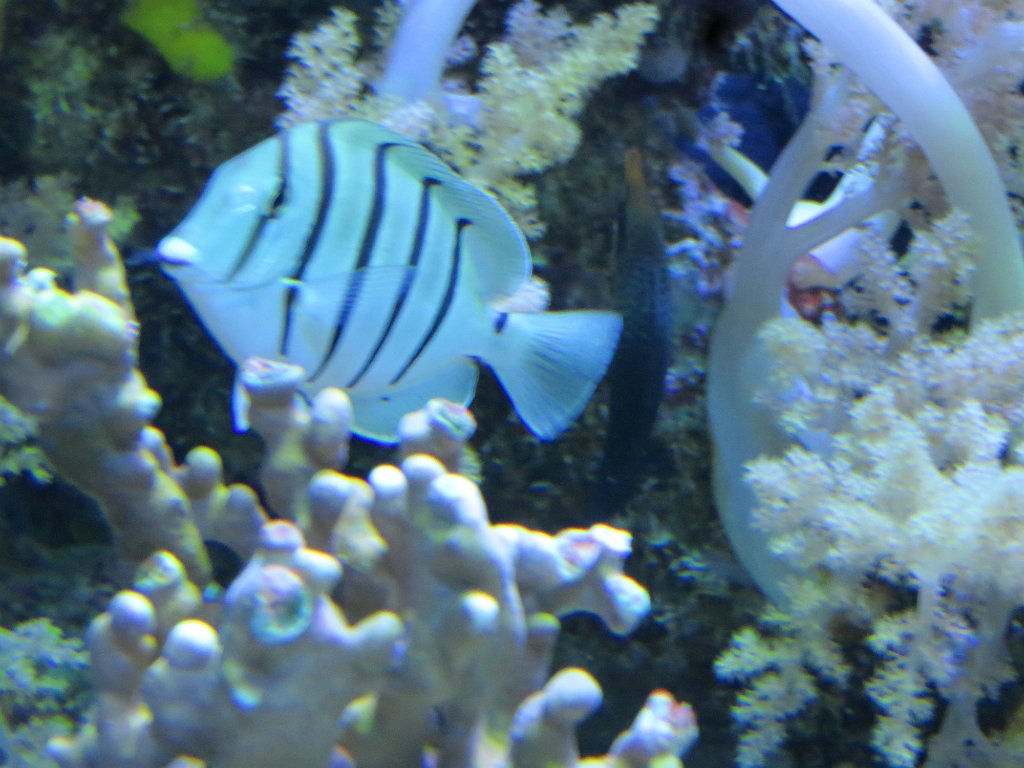 IMG 7786