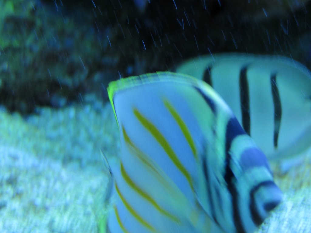 IMG 7788