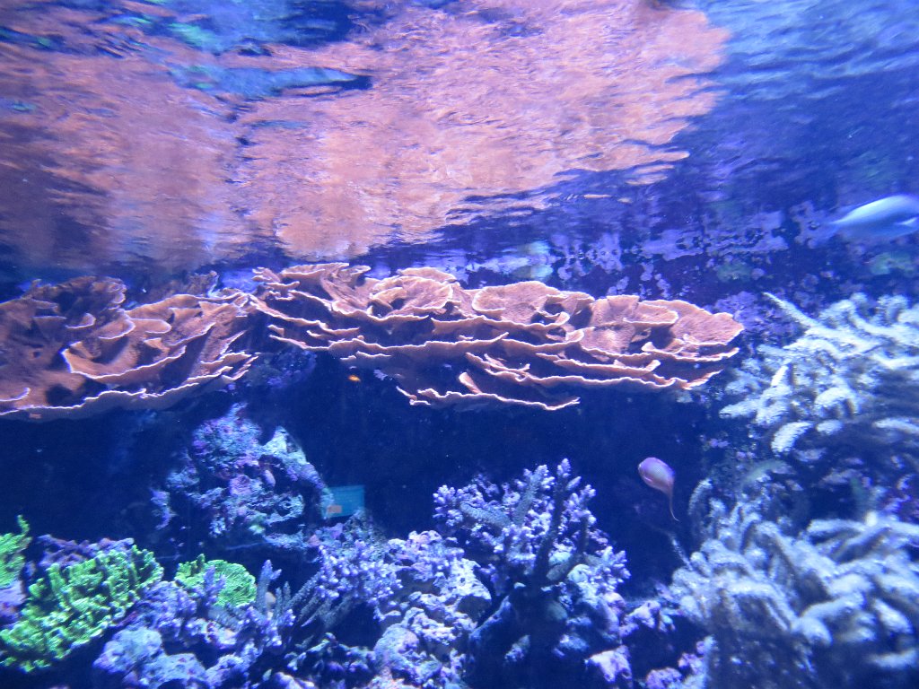 IMG 7794