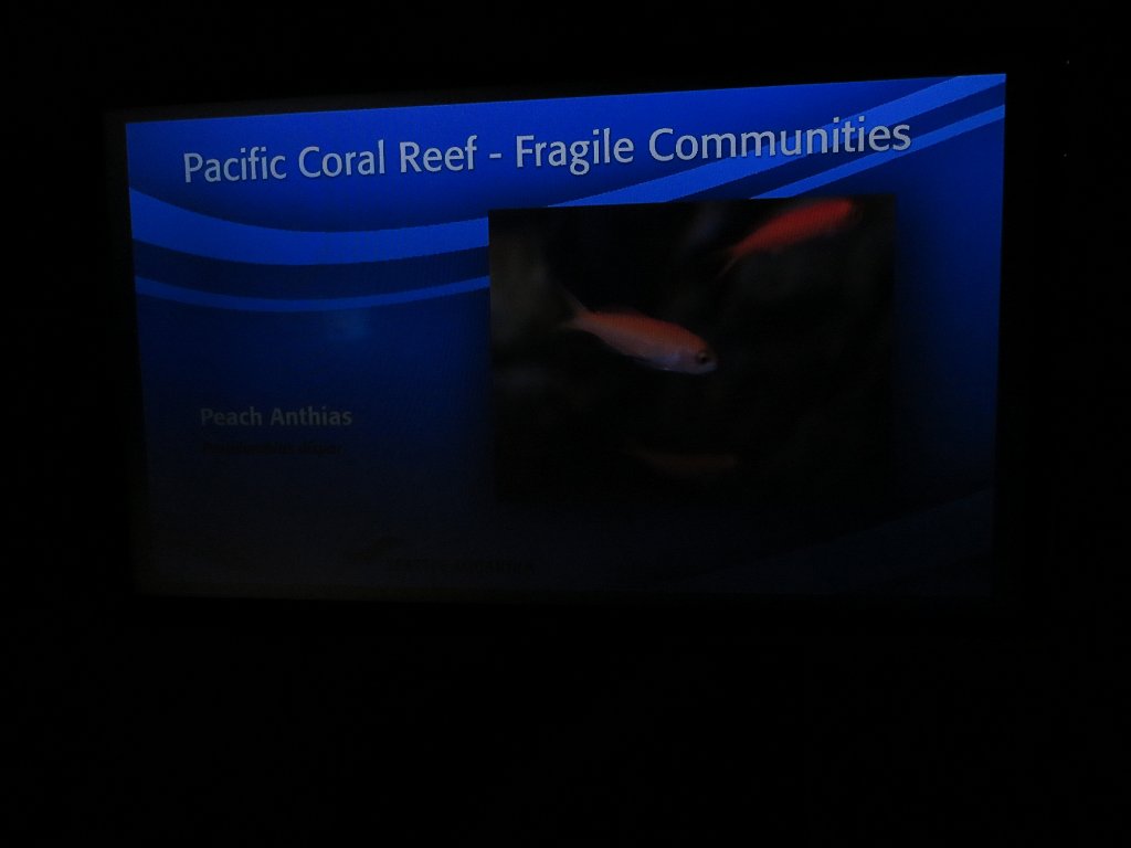 IMG 7795