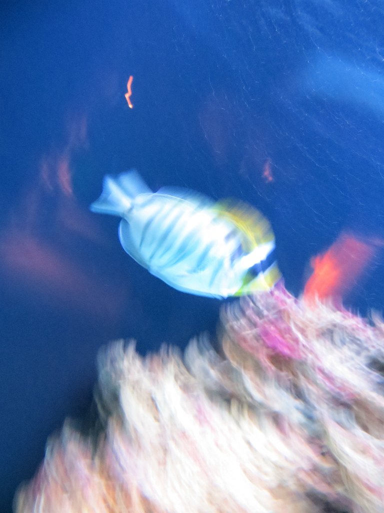 IMG 7799