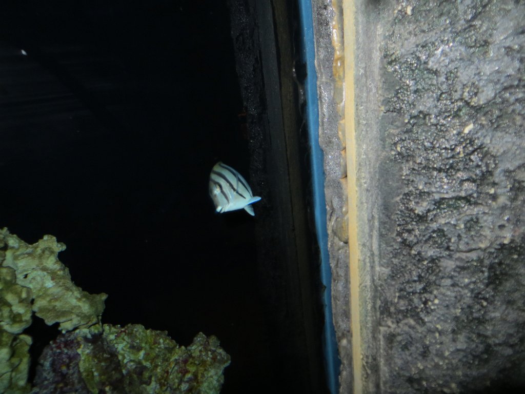 IMG 7805