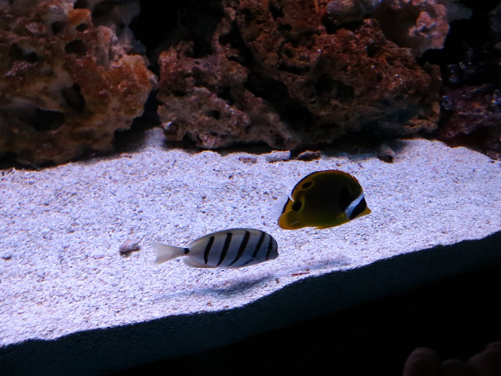 IMG 7807