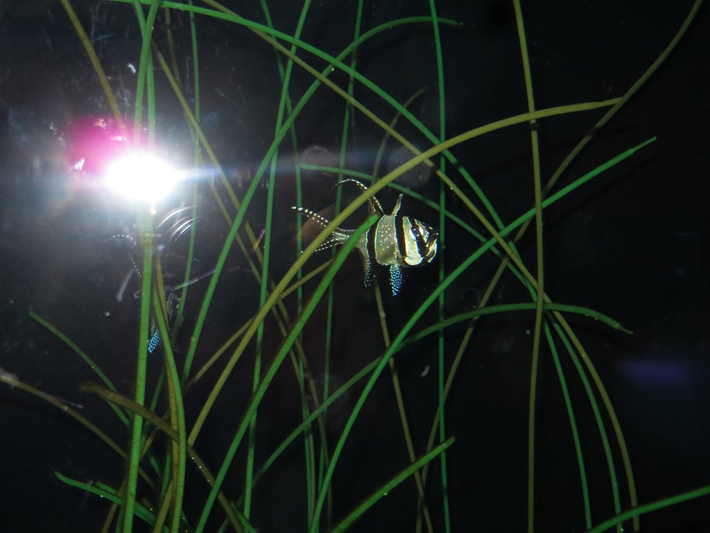 IMG 7820