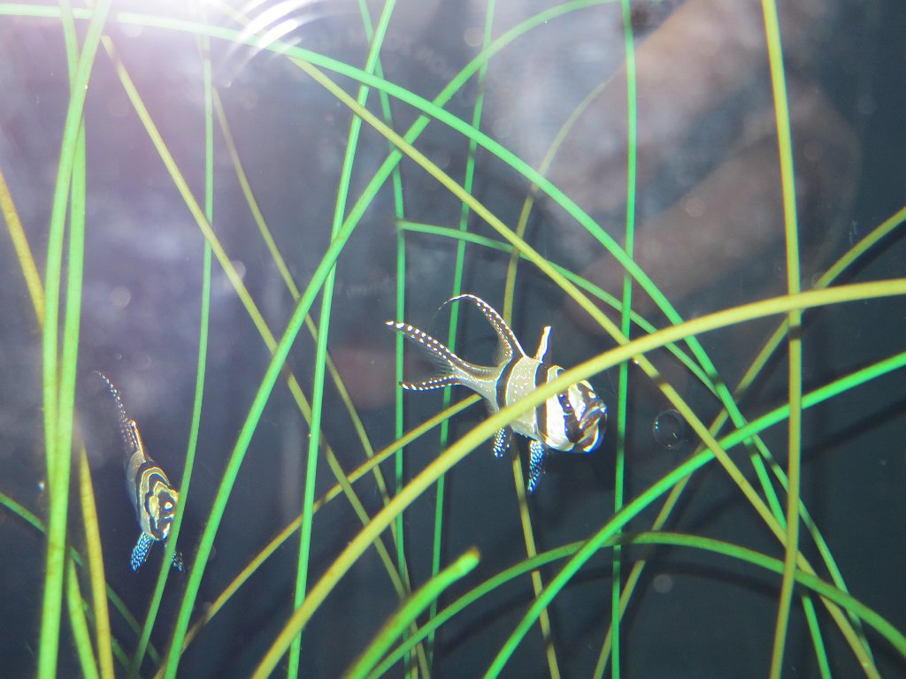 IMG 7821