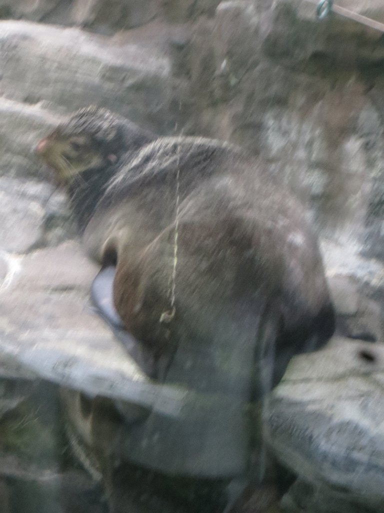 IMG 7825