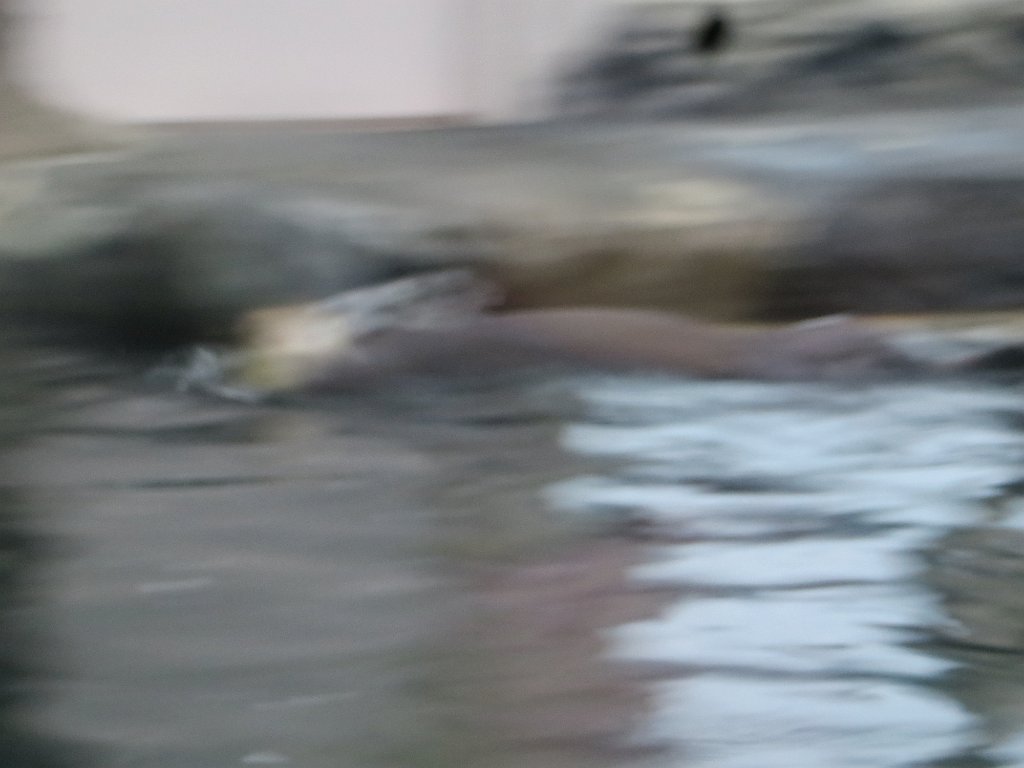 IMG 7826
