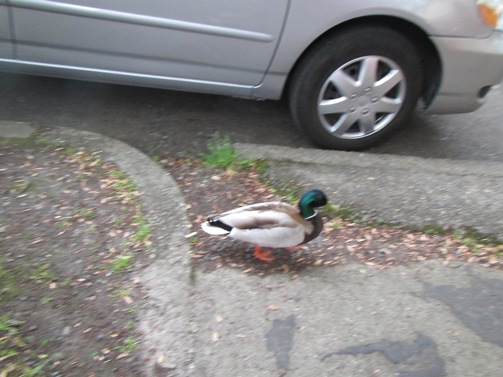IMG 2269