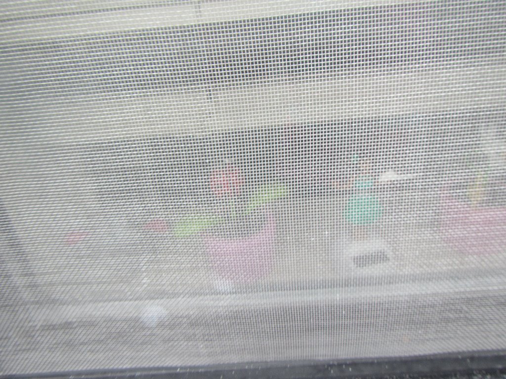 IMG 2278