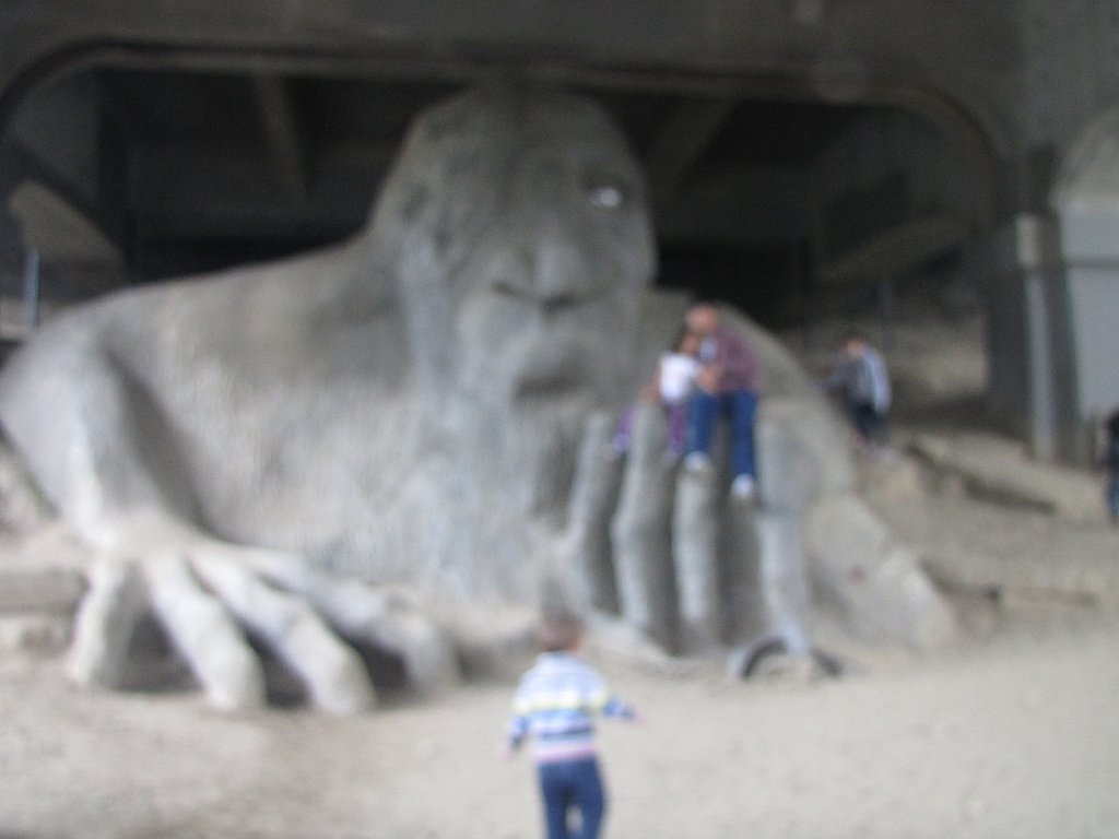 IMG 3348