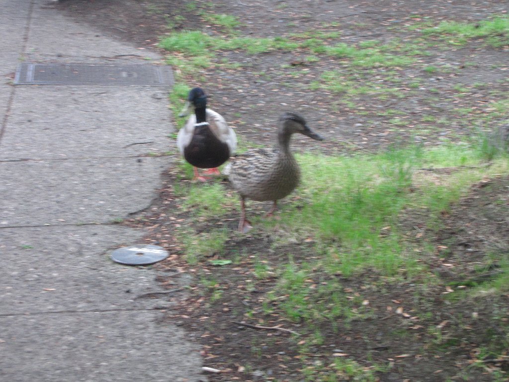 IMG 3364