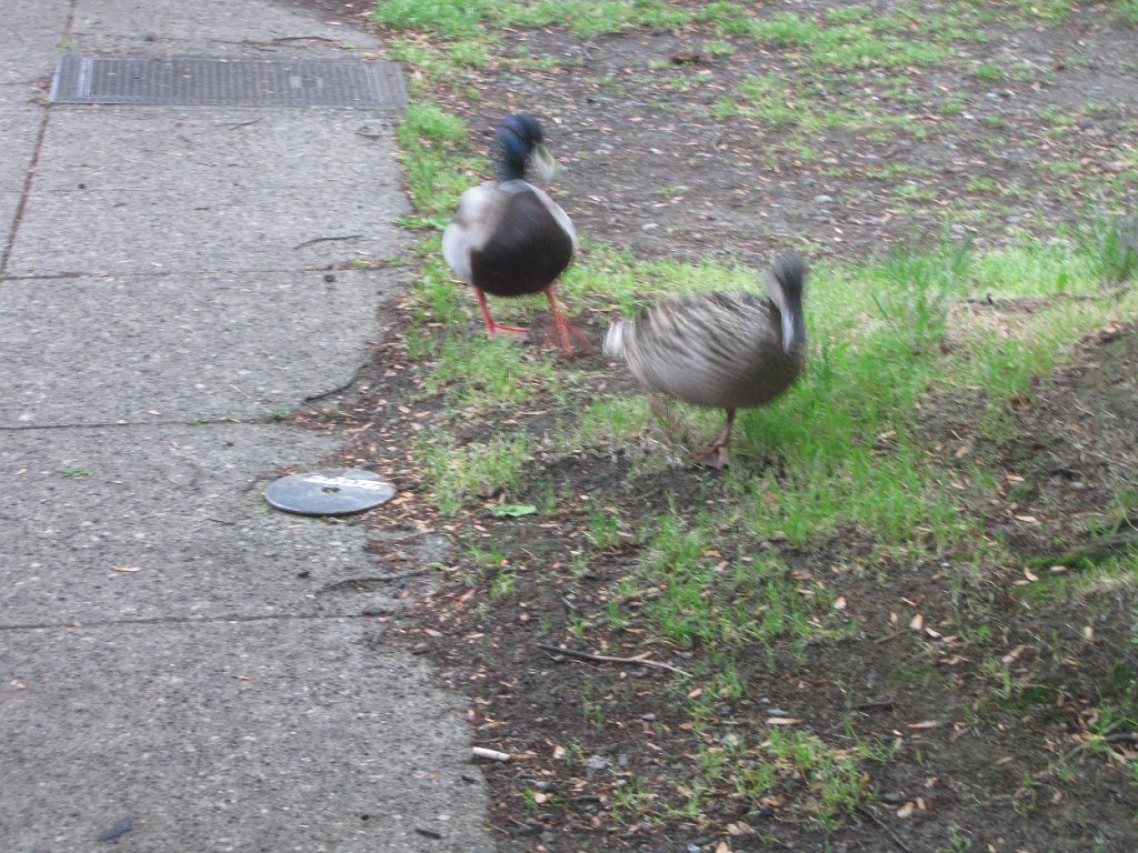 IMG 3365