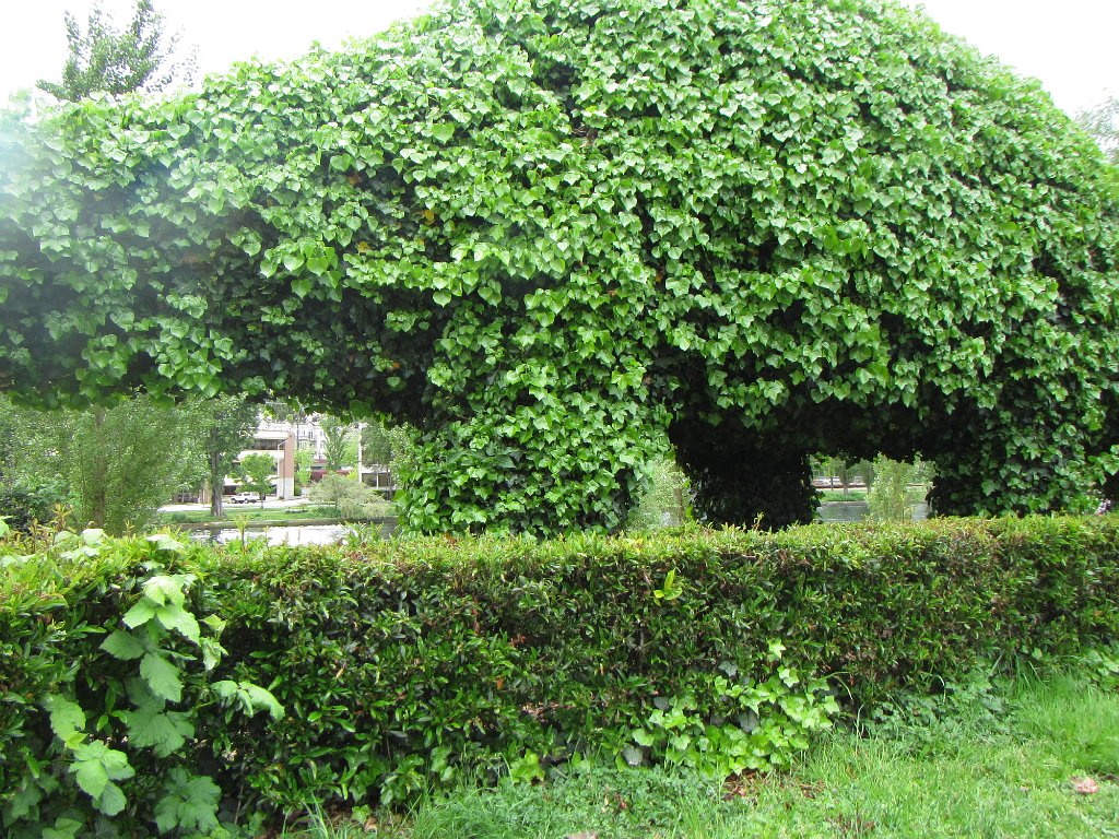 STE 2250
