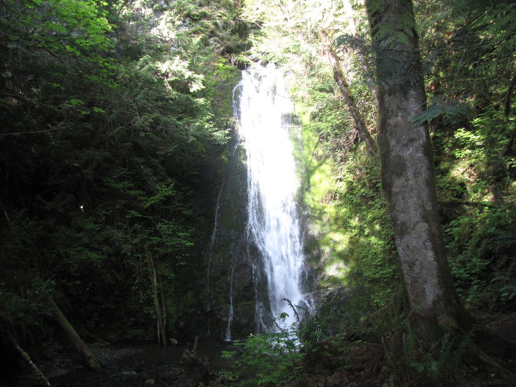 IMG 3632