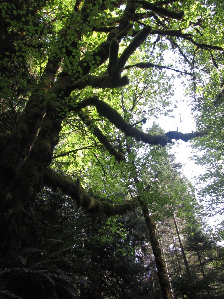 IMG 3635