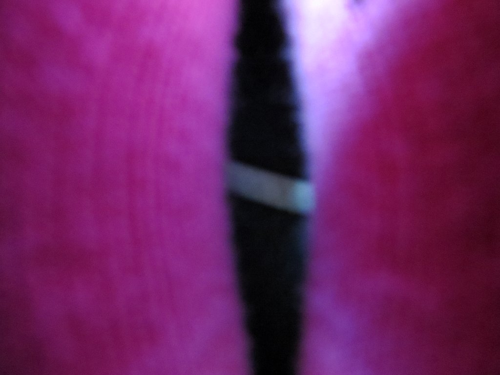 IMG 8109