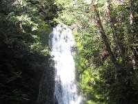IMG_3627.jpg