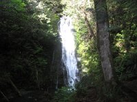 IMG_3633.JPG