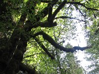 IMG_3635.jpg