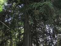 IMG_3636.jpg