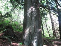 IMG_3637.JPG