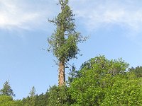 IMG_3644.jpg