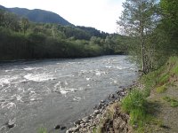 IMG_3645.JPG