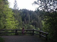 IMG_3648.JPG