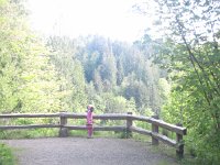 IMG_3649.JPG