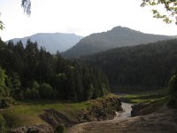 IMG_3656.JPG
