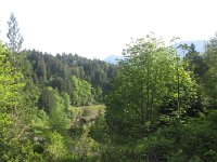 IMG_3661.JPG