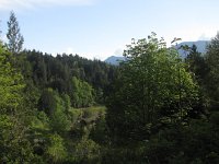 IMG_3662.JPG