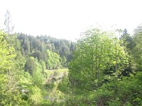 IMG_3663.JPG